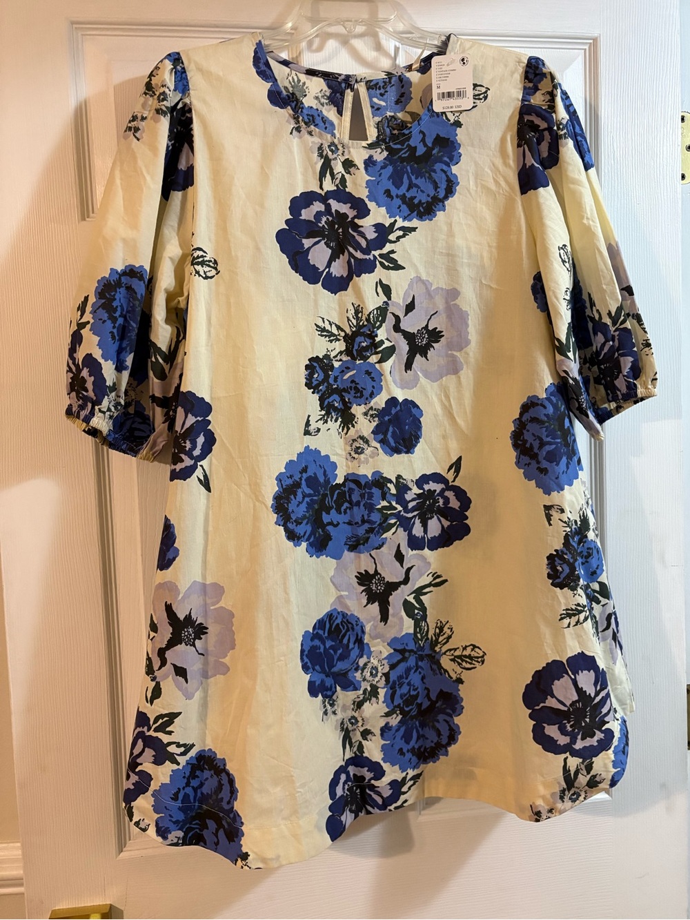 Free People Cream Mini Dress with Blue Floral Print